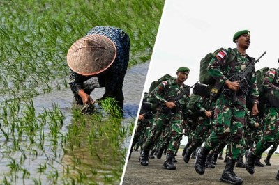 Indonesia summons army to help farmers plant rice