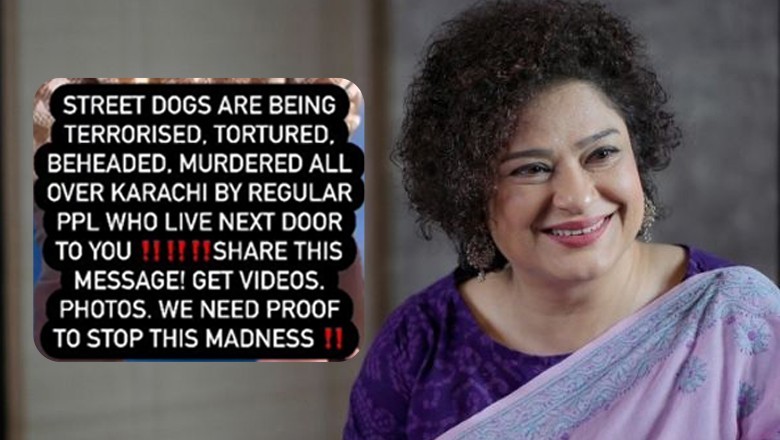 Sania Saeed shares powerful message over mistreatment of stray dogs