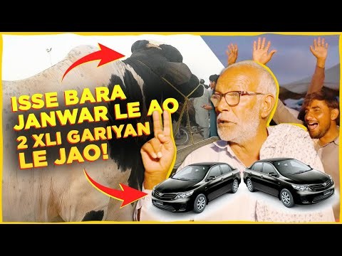 Karachi ki Mandi ka Don agaya hai