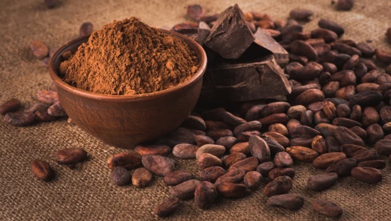 Cocoa extract, dark chocolate help control blood pressure, cholesterol: study