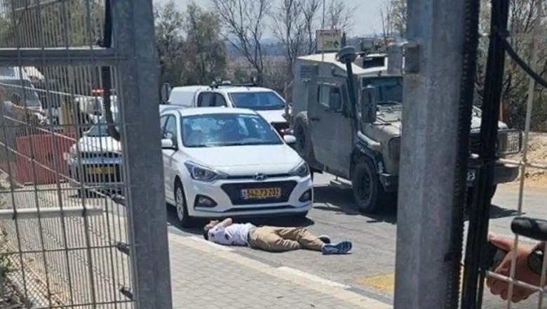 Canadian citizen 'protesting Gaza genocide' killed in Israel