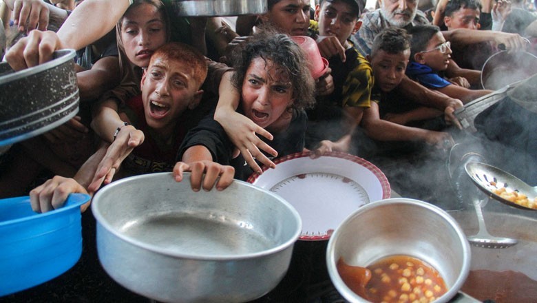 Israel forces Palestinians to eat 'animal feed, donkeys, horses' amid food crisis: report