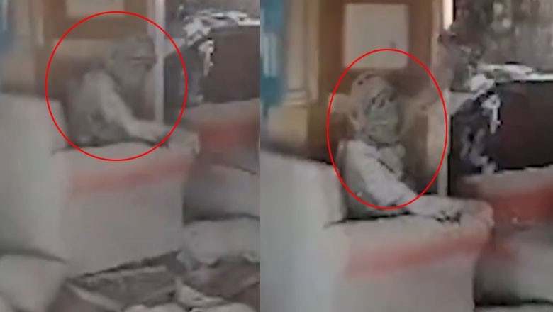 Israeli army releases video of Yahya Sinwar’s final moments before death