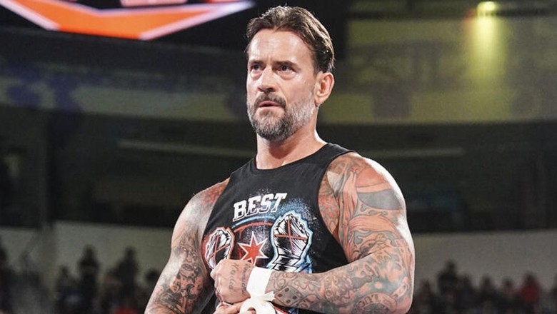 WATCH: WWE superstar CM Punk calls for end to genocide in Gaza