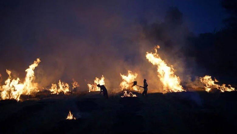 Pakistan, India arrest farmers for burning crop waste as it increases pollution