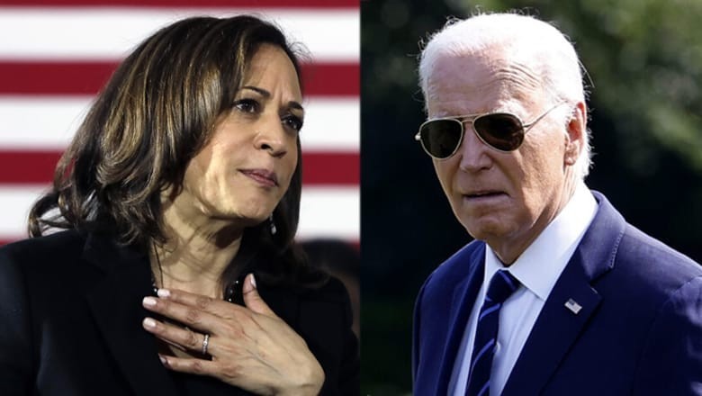Democrats blame Biden for Harris' loss in US presidential election