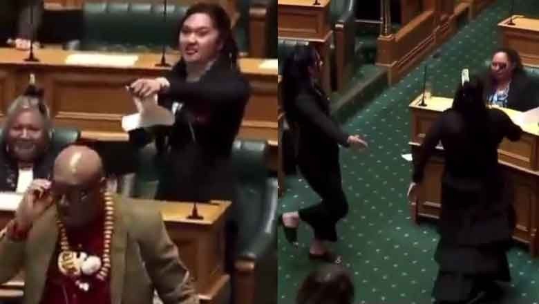 New Zealand MPs protest against controversial bill goes viral