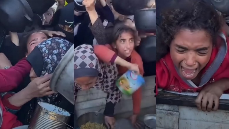 WATCH: Palestinian children risk being crushed while trying to get food