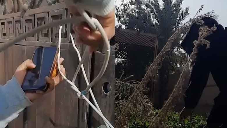 VIDEO: Palestinian family finds home intact after return to Gaza