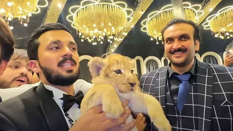 Wildlife Department seeks action against YouTuber Rajab Butt