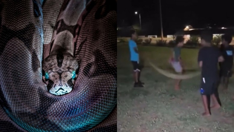 Children use Python as skipping rope