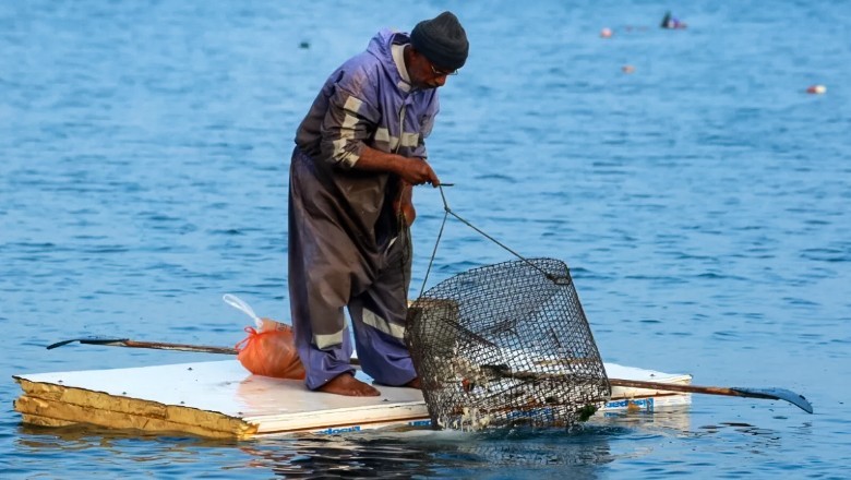 Palestinians use old fridge doors for fishing