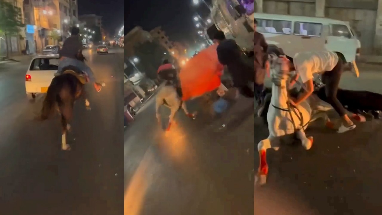 WATCH: Youngsters spotted riding horses in Karachi