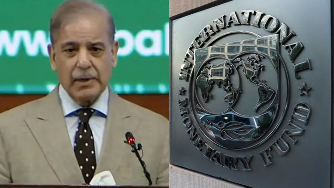 'Pakistan's trillion-dollar mineral reserves can help us bid farewell to IMF:' PM Shehbaz