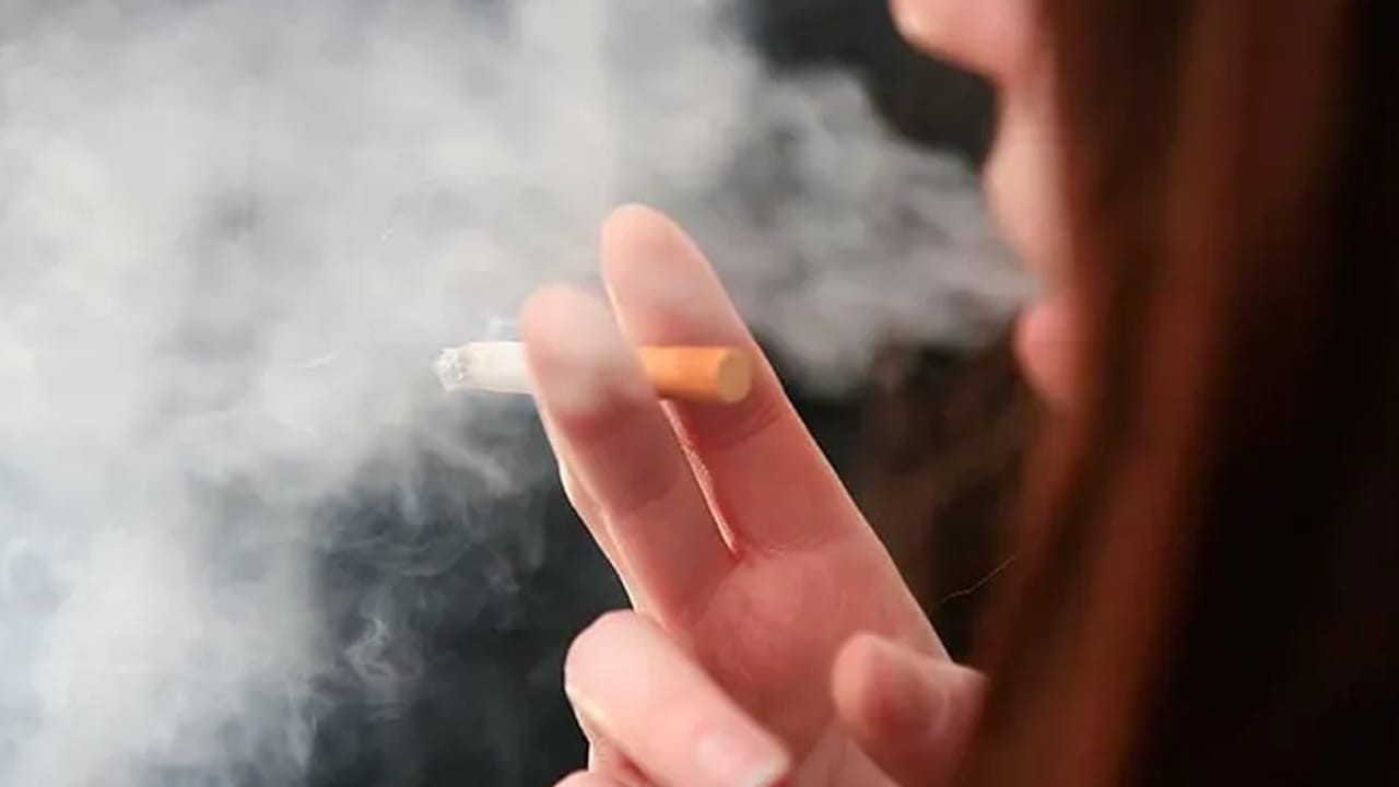 Punjab bans smoking in public places