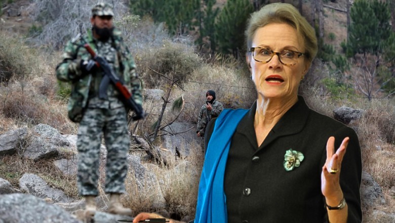 Pahalgam attack: ex-US diplomat slams India's allegation on Pakistan as 'absurd'