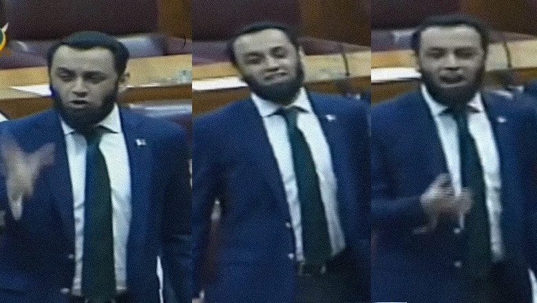 Pakistan aired Armed Forces song on Indian YouTube channels after social media ban: Tarar