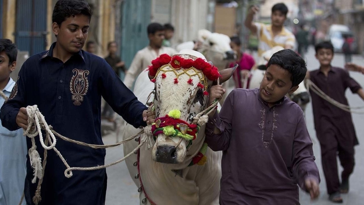 When will Eidul Adha be celebrated in Pakistan?