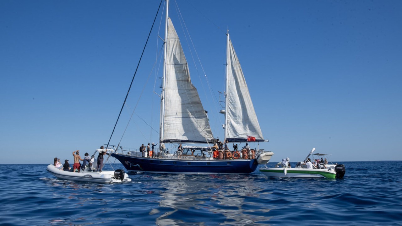 Israeli drones spotted above Gaza-bound aid ship ‘Madleen’