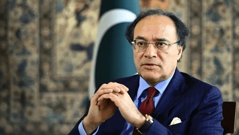 Pakistan Economic Survey 2024-25: Positive growth, inflation control, says Finance Minister