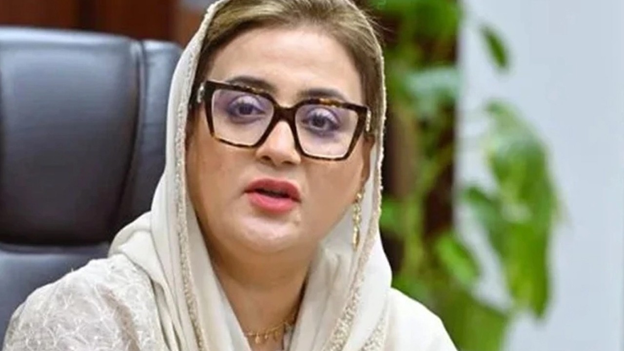 Punjab information minister slams KP govt over Swat River tragedy