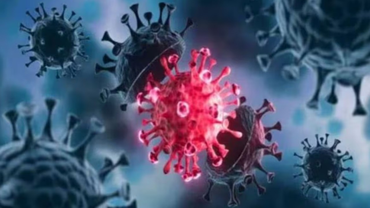 Sindh govt terminates over 280 medical staff hired during COVID-19 pandemic