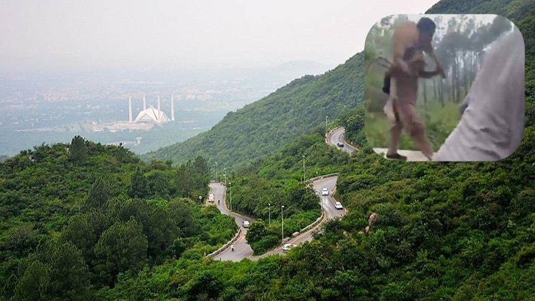 Case registered over slaughter of deer in Islamabad’s Margalla Hills