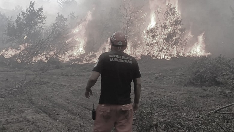 Wildfire claims at least 10 lives in Turkiye