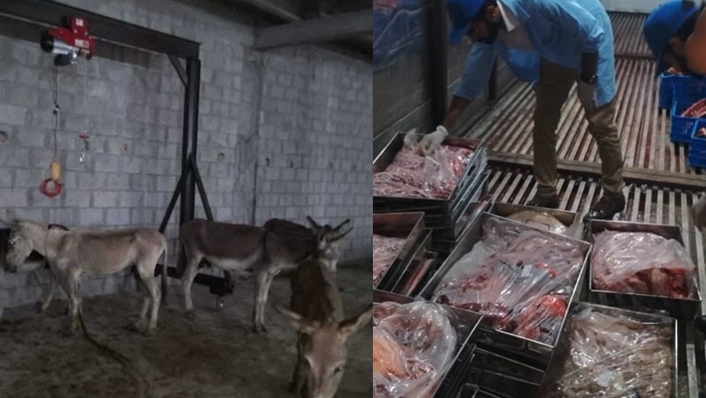 Islamabad food authority seizes donkey meat in huge quantity in Tarnol raid