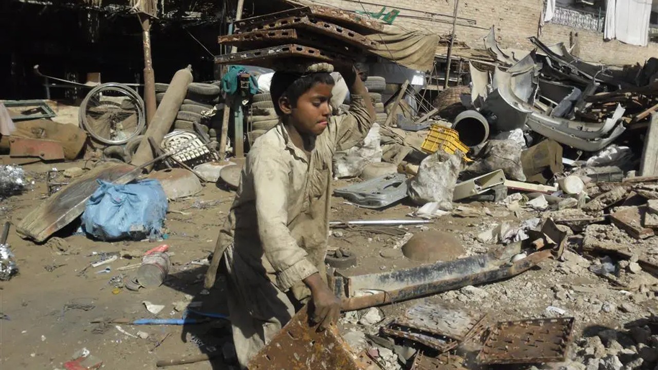 Senate passes bill banning child labour