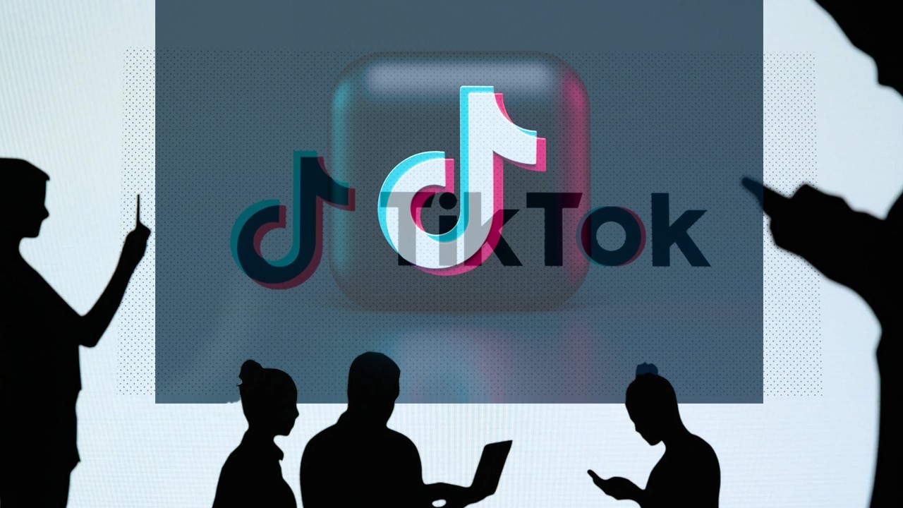 Resolution moved in Punjab Assembly seeking ban on TikTok