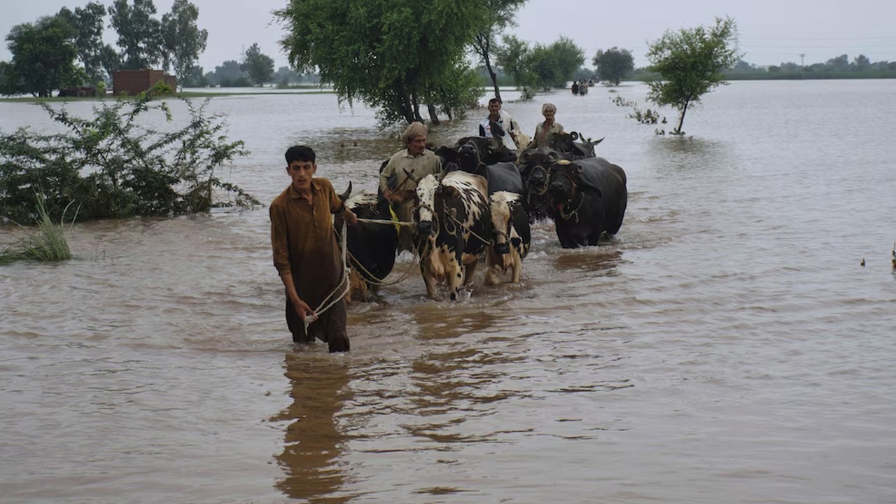 Punjab flood toll rises to 118, over 4.7 mn people affected: PDMA