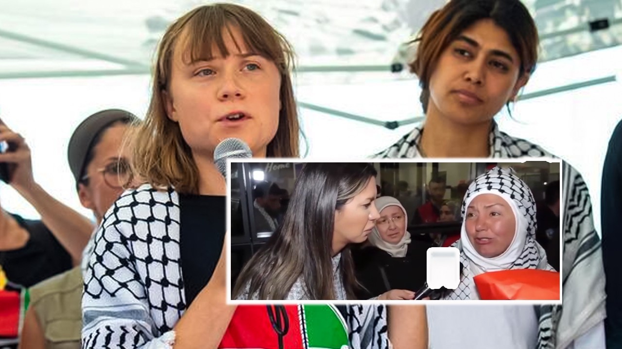 Greta Thunberg says she is being held in Israeli cell ‘infested with bedbugs’