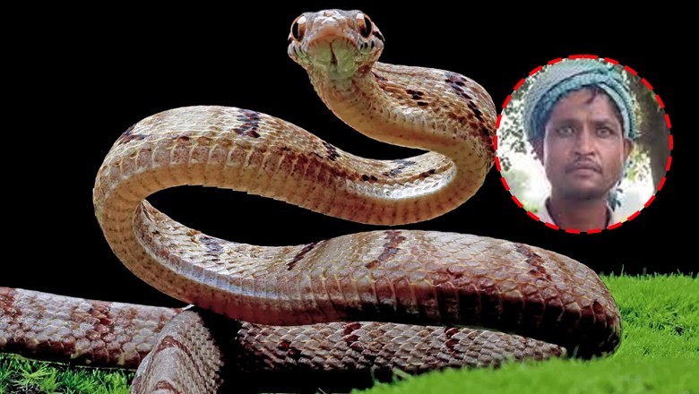 'Wife turns into a snake at night and bites me': Indian man seeks police protection