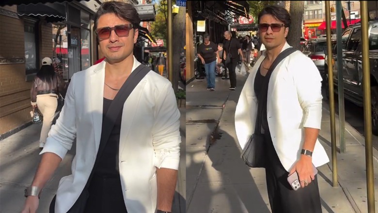 Ali Zafar wins hearts with humble street interview abroad