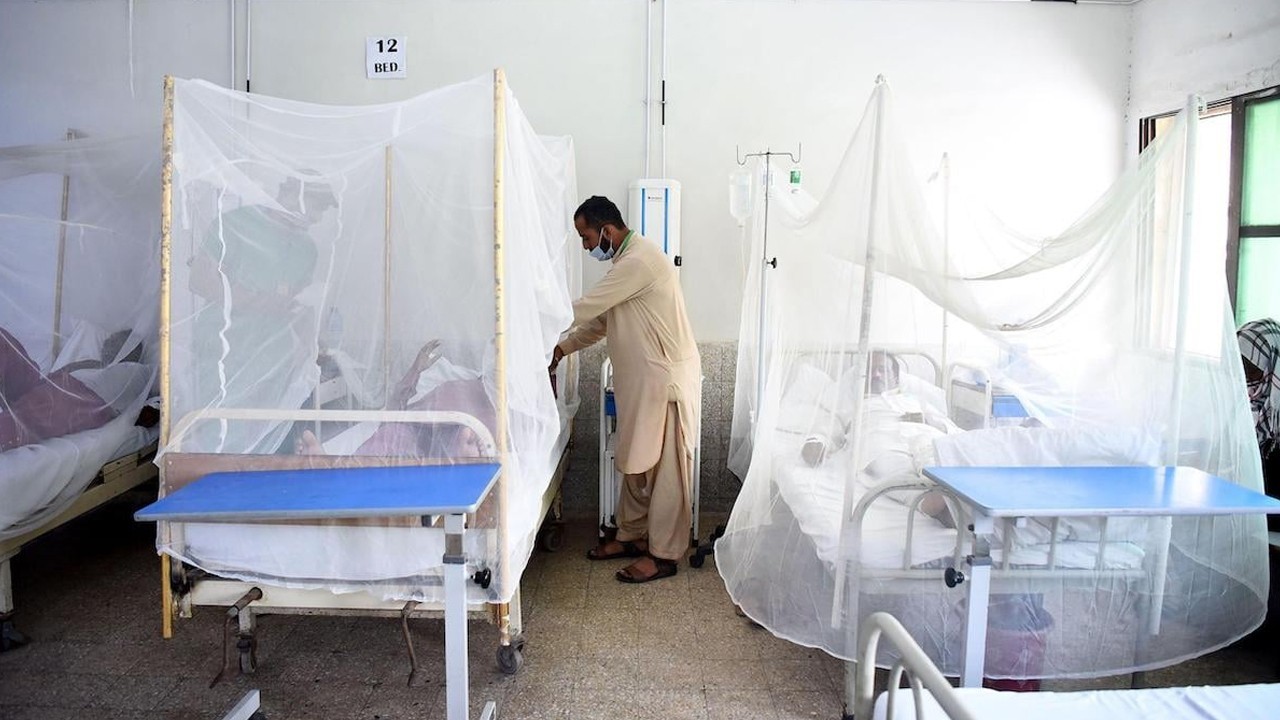 Hyderabad hospitals overwhelmed by dengue outbreak as govt  mulls health emergency