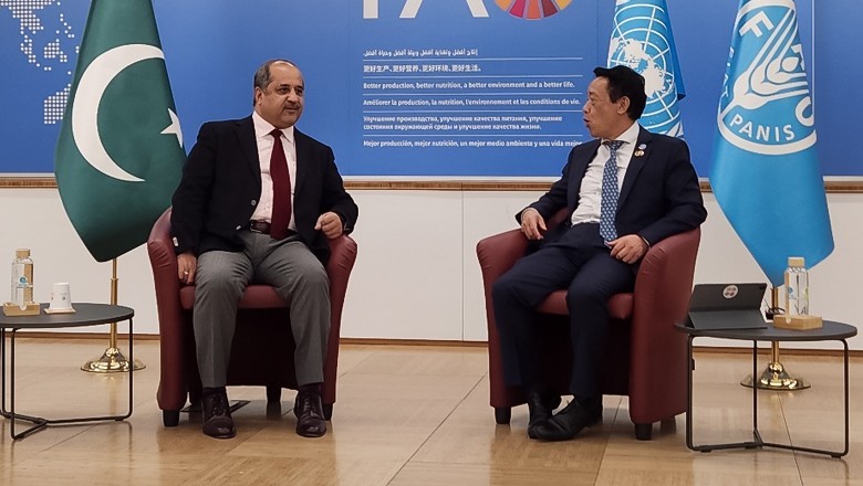 Pakistan’s chilgoza pine forest project wins prestigious UN award in Italy