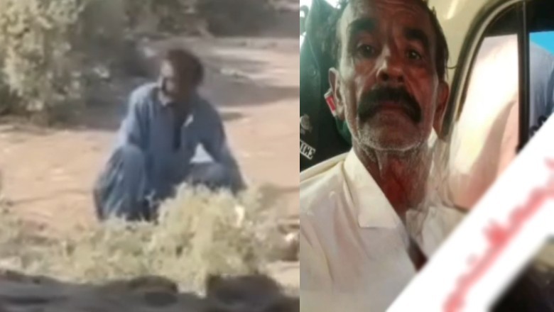 Mirpurkhas man arrested after video shows sexual assault of dog