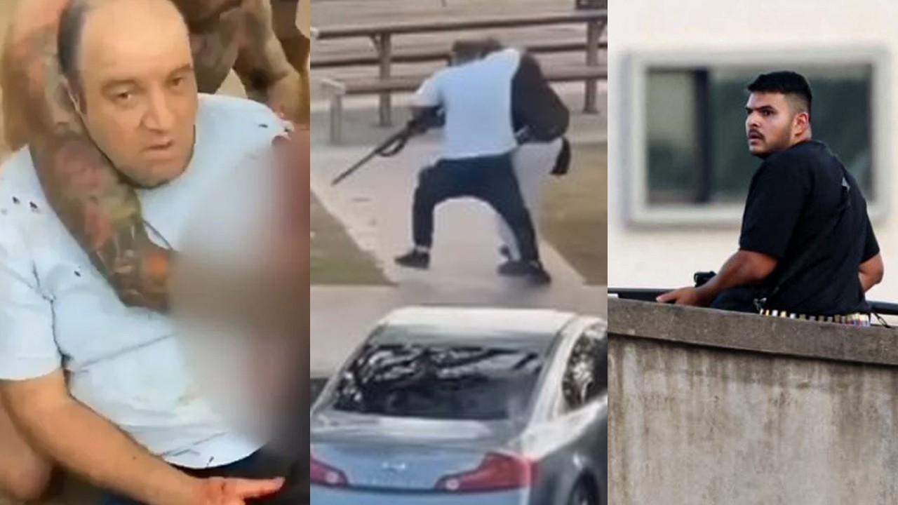 Sydney beach attack: Heroic civilian Ahmed Al Ahmed apprehends gunman, saves lives