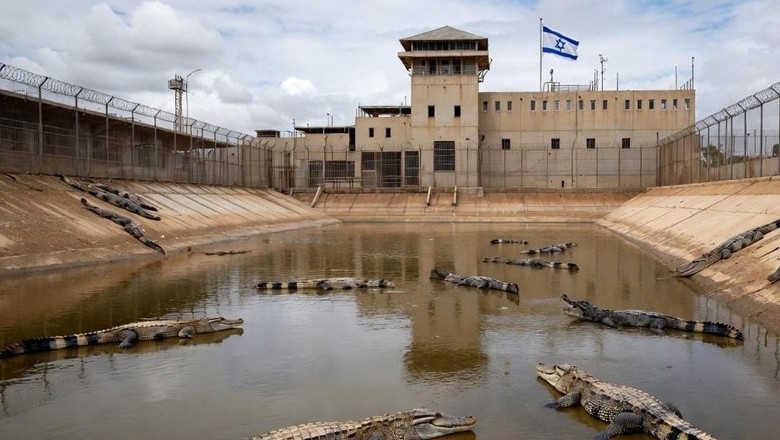 Israeli minister proposes 'crocodile’ prison for Palestinians
