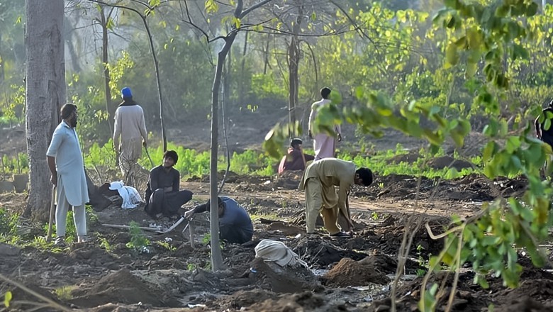 Climate change minister faces criticism for justifying CDA’s tree-cutting drive in Islamabad amid environmental concerns