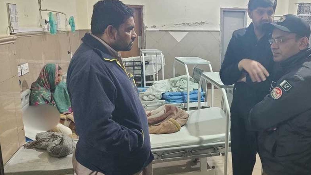 Boy loses arm in pet lion attack in Lahore