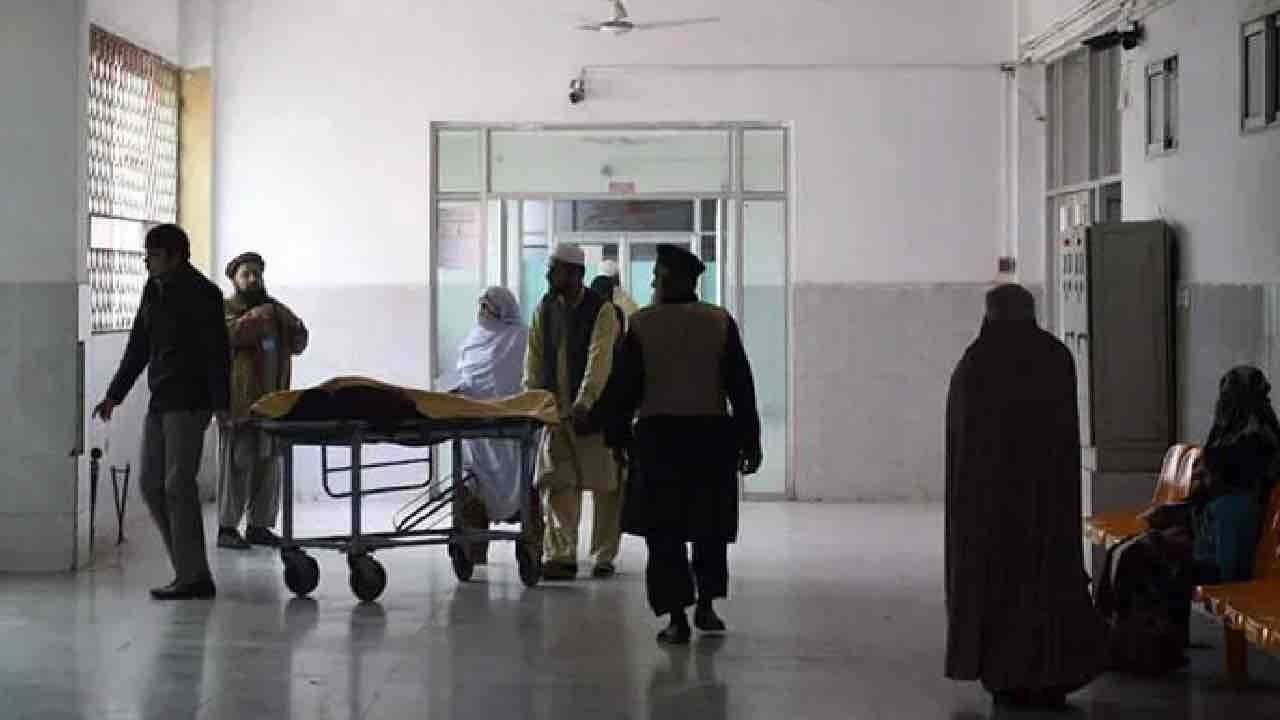 K-P issues province-wide alert over possible Nipah virus threat