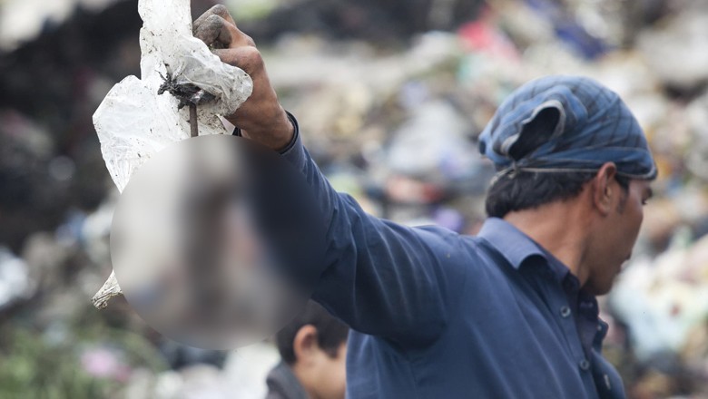 Peshawar residents approach PHC over rising population of rats