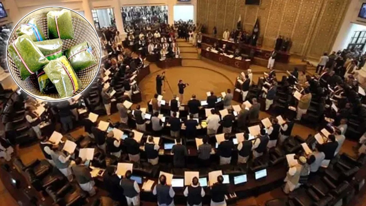 'Naswar' bill seeking to regulate production, sale of snuff introduced in KP Assembly