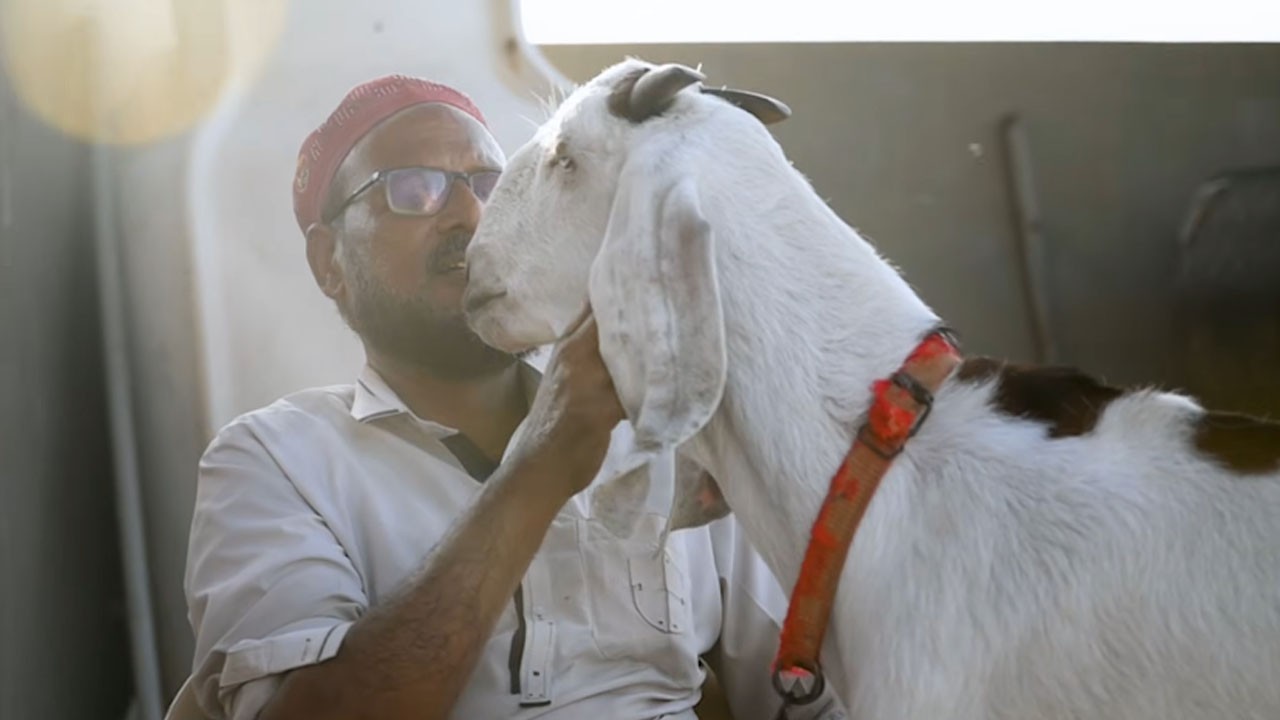 “It feels like losing a family member”: Animal owner speaks about emotional bond ahead of Eid-ul-Adha