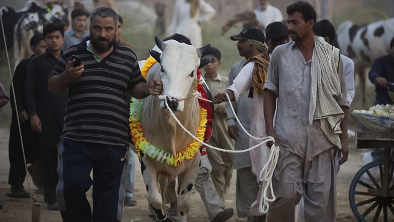 Sindh announces Eidul Azha holidays from May 26 to 29