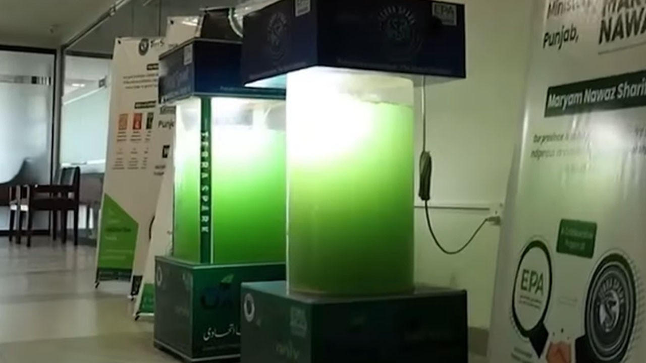 Punjab introduces AI-powered Liquid Tree for carbon capture and cleaner air
