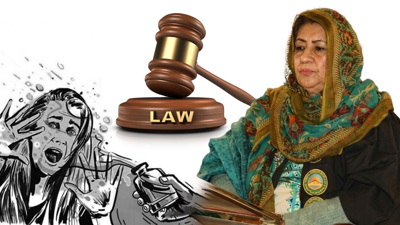 Women's Parliamentary Caucus moves to fast-track anti-acid attack law in Balochistan