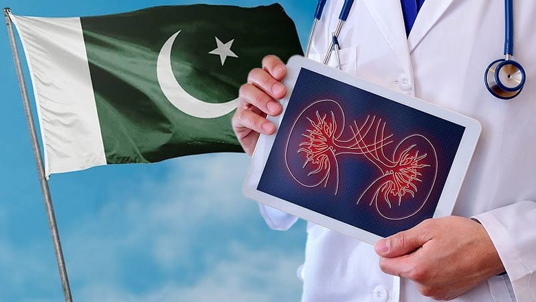 Nearly 30 million Pakistanis suffering from kidney disease, nephrologists Warn